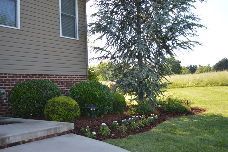 Garden Transformation with Water Feature by Promier Landscapes - Photo 11