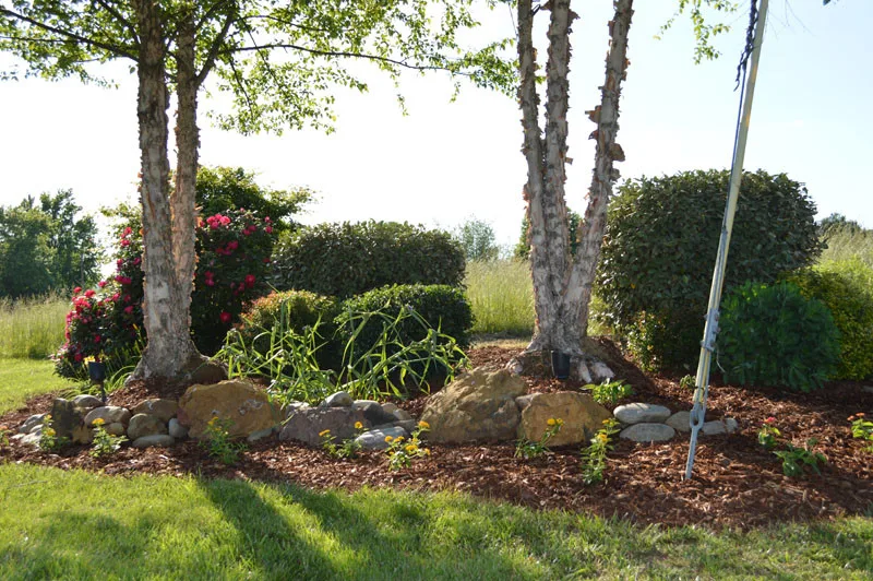 Garden Transformation with Water Feature by Promier Landscapes - Photo 7