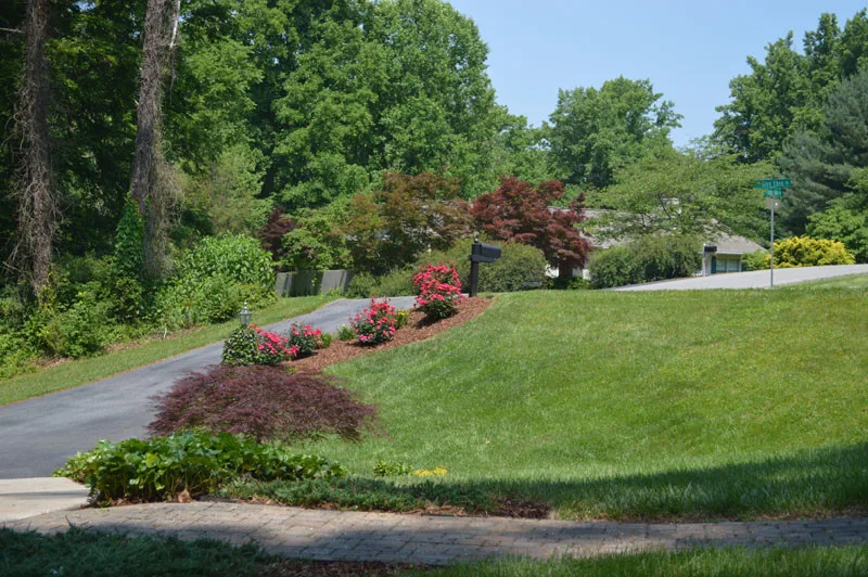 Garden Transformation with Water Feature by Promier Landscapes - Photo 8