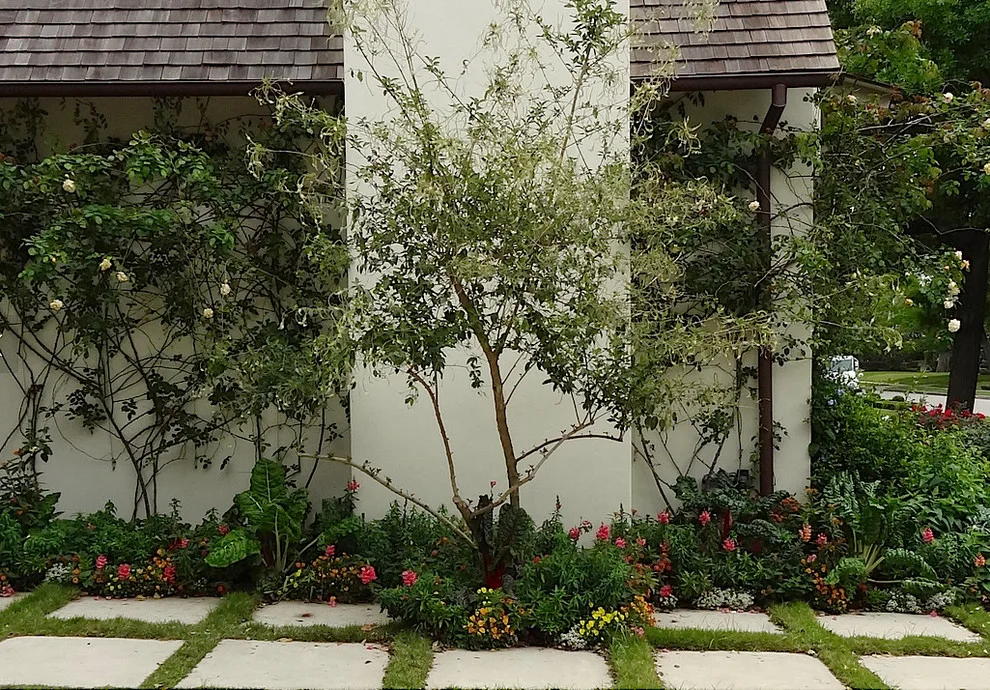 Locke Avenue by Fischer Schalles - Photo 2