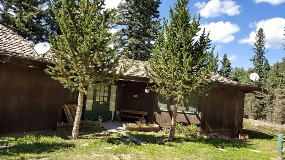 Master's Tree Care & Landscaping - Photo 4