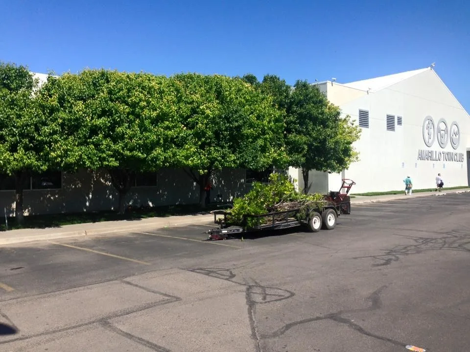 Master's Tree Care & Landscaping - Photo 6
