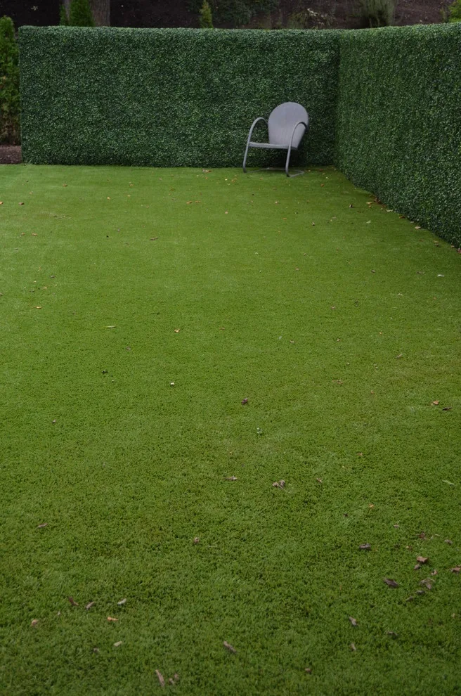 The Easy Gardener - Photo 5