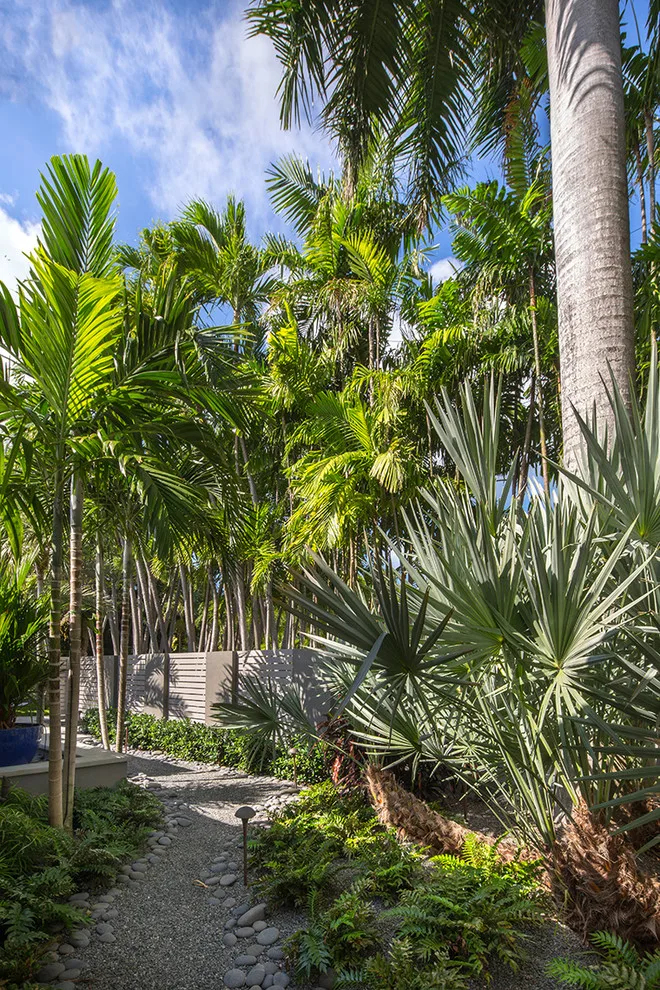 Contemporary Key West by Craig Reynolds Landscape Architecture - Photo 11