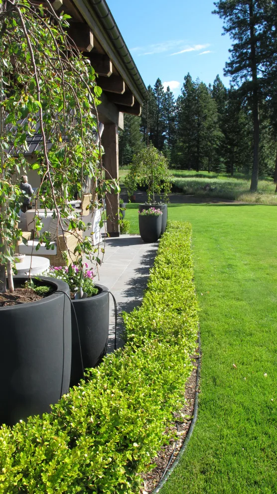 Summit View Estate by Country Girl Gardens - Photo 5