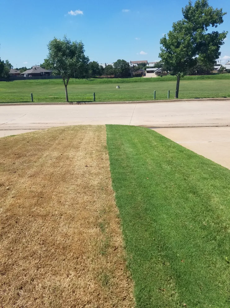 Lawn Care and Turf Management by Davis Garden & Landscape - Photo 9