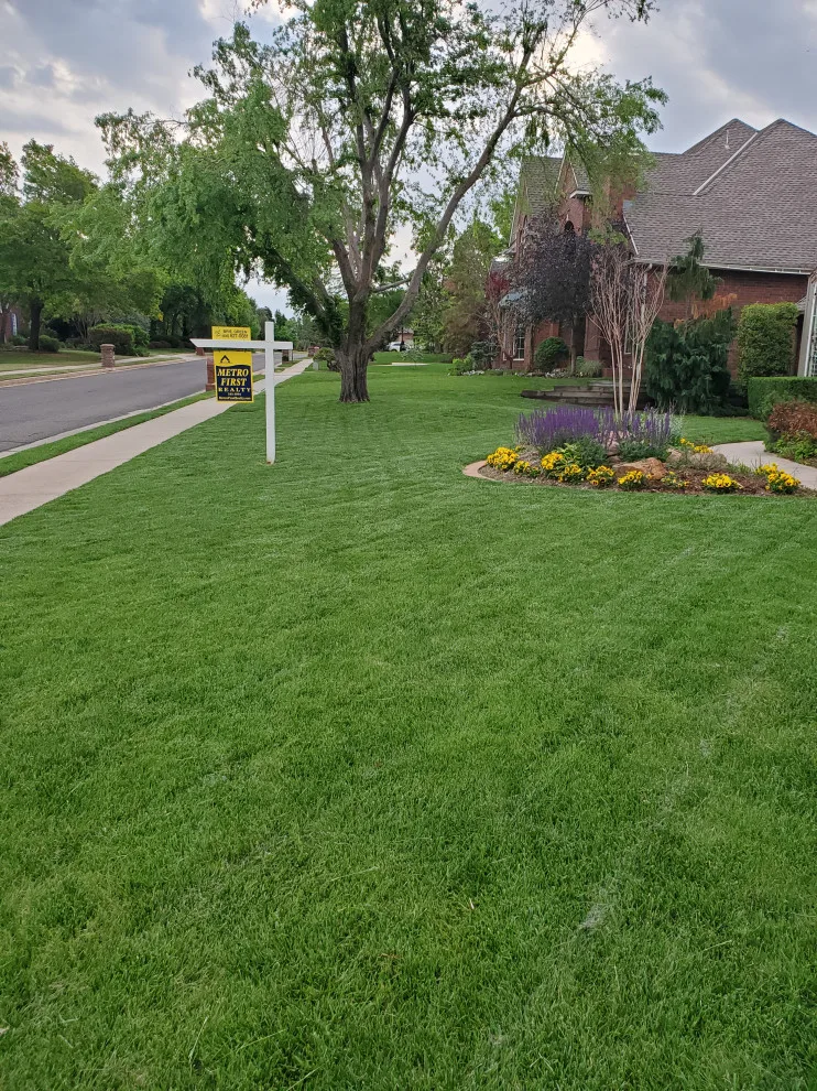 Davis Garden & Landscape - Photo 11