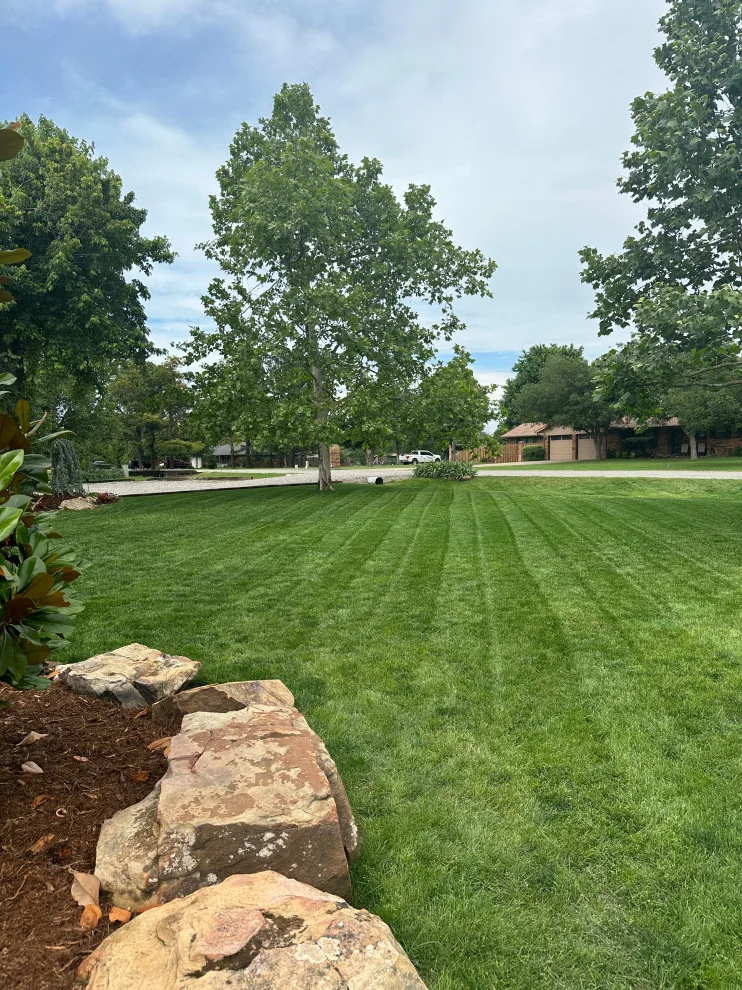 Lawn Care and Turf Management by Davis Garden & Landscape - Photo 8