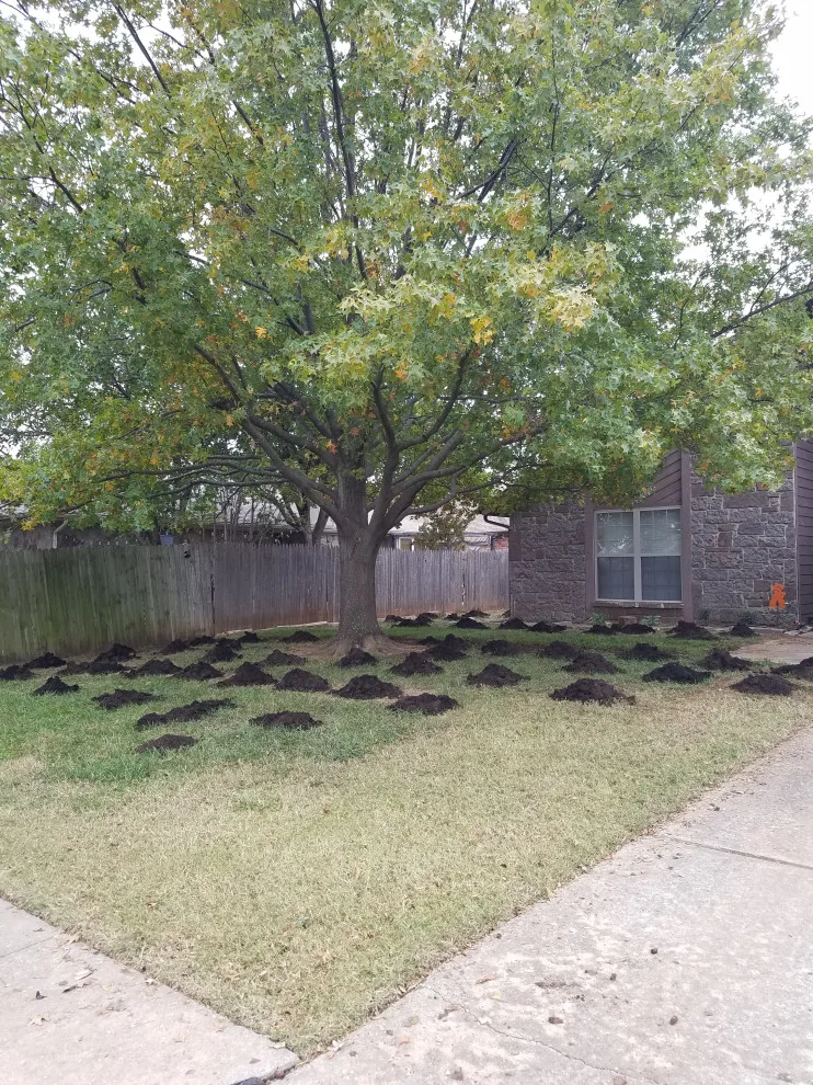 Lawn Care and Turf Management by Davis Garden & Landscape - Photo 3
