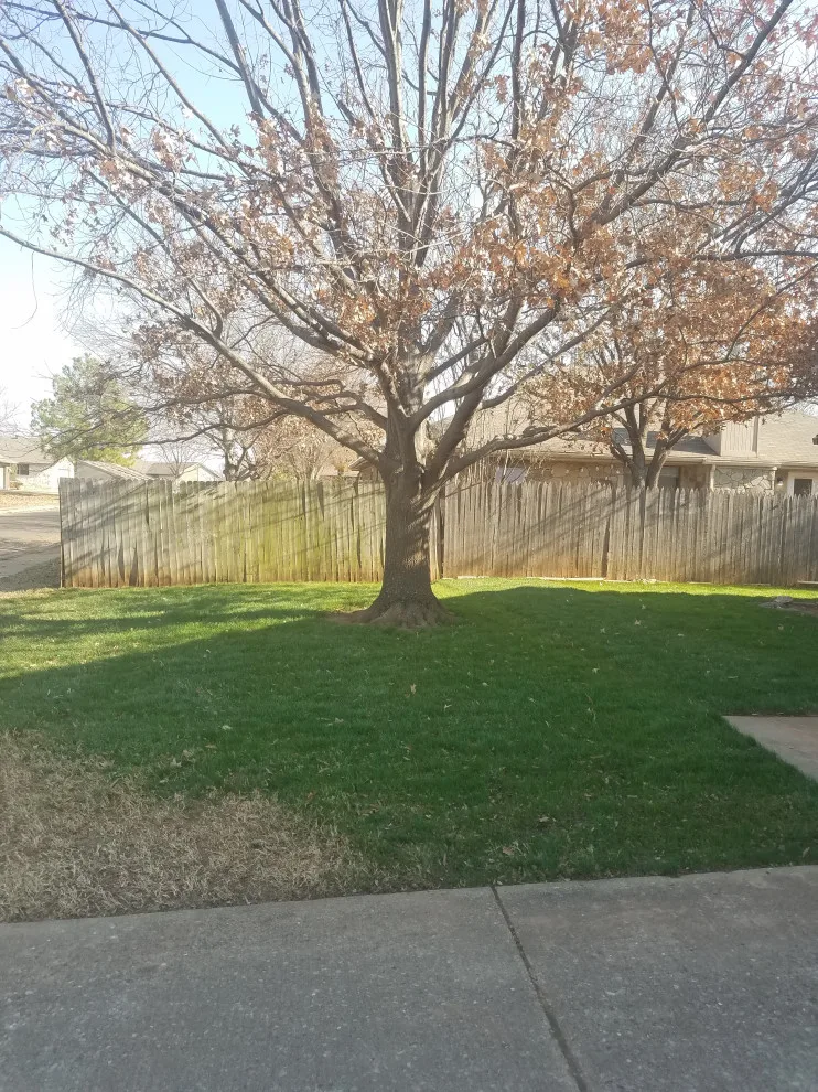 Lawn Care and Turf Management by Davis Garden & Landscape - Photo 5