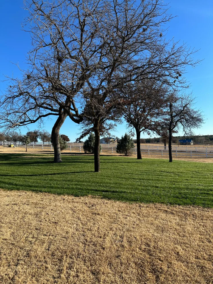 Lawn Care and Turf Management by Davis Garden & Landscape - Photo 7
