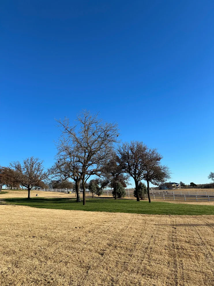 Lawn Care and Turf Management by Davis Garden & Landscape - Photo 4