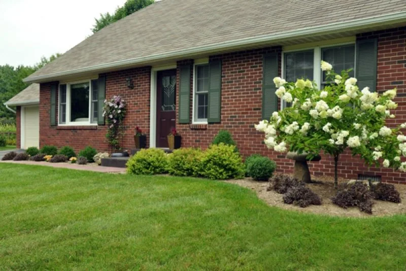 Oasis Ponds & Patios - Photo 11