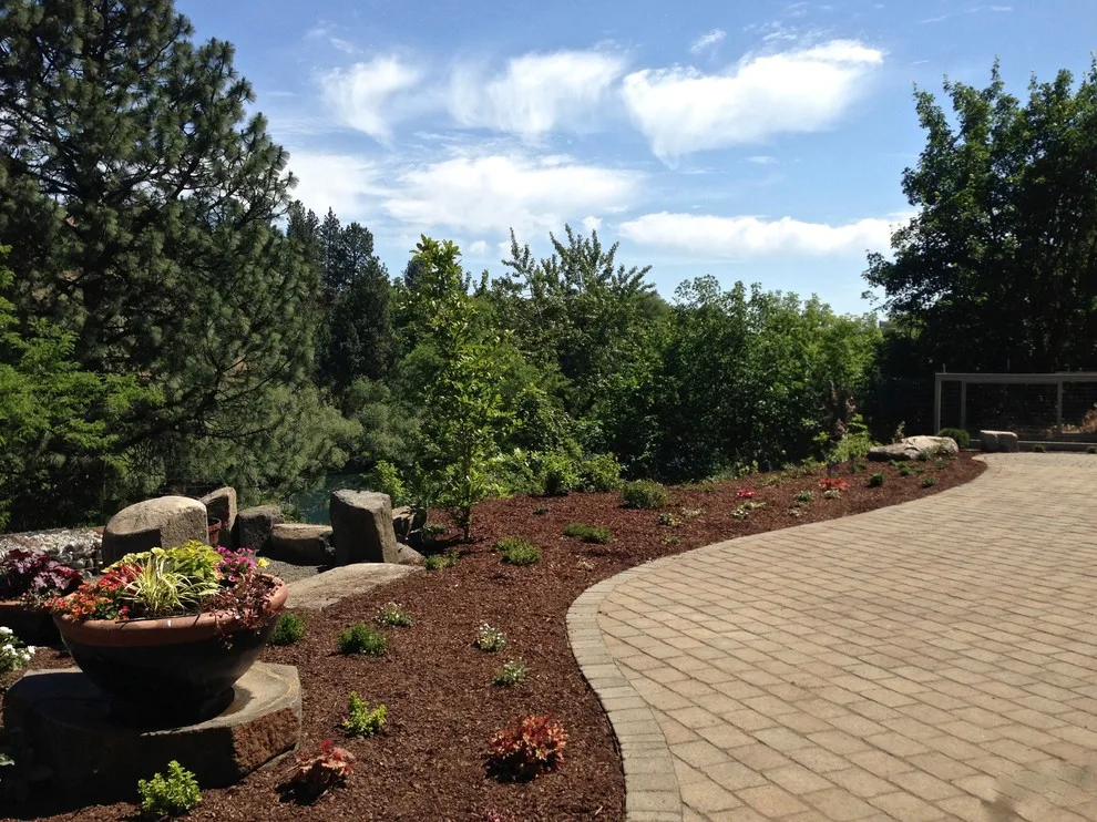 Alternative Lawn Solutions by Barbara Safranek Landscape Design - Photo 2