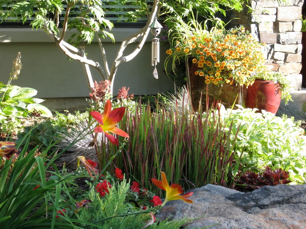 Alternative Lawn Solutions by Barbara Safranek Landscape Design - Photo 6