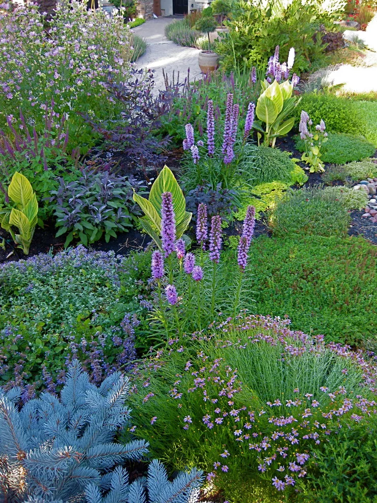 Alternative Lawn Solutions by Barbara Safranek Landscape Design - Photo 9