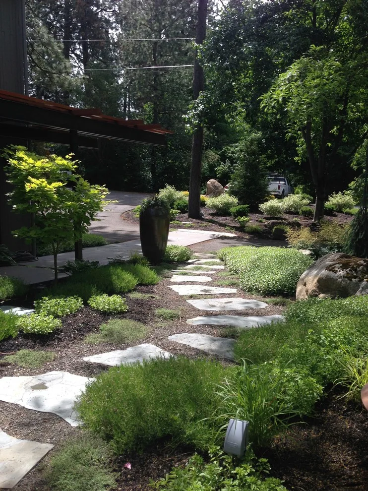 Alternative Lawn Solutions by Barbara Safranek Landscape Design - Photo 5
