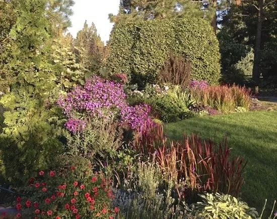 Everlasting Sun Edging by Barbara Safranek Landscape Design - Photo 2