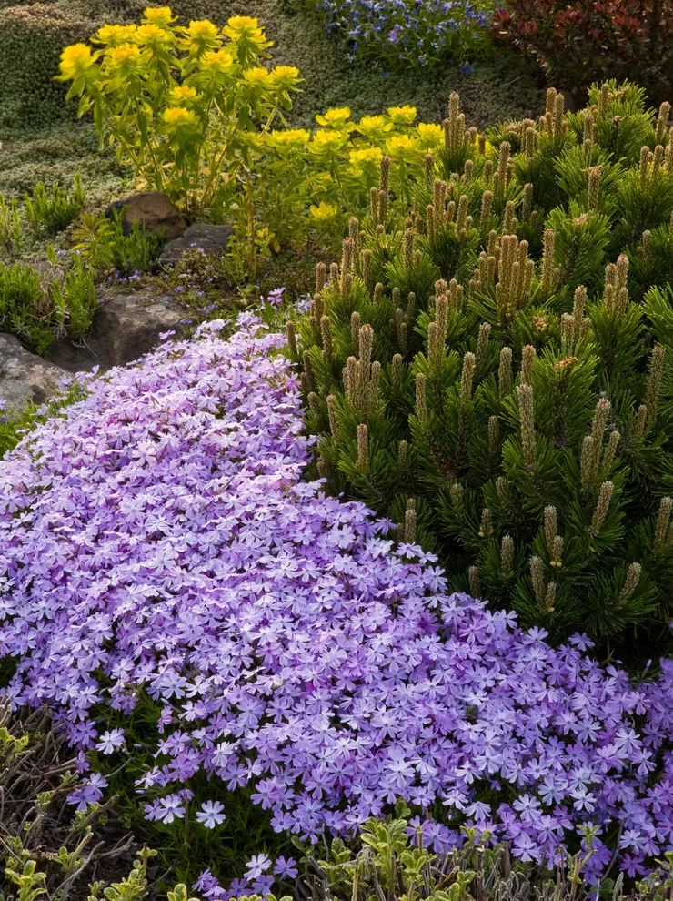 Barbara Safranek Landscape Design - Photo 14