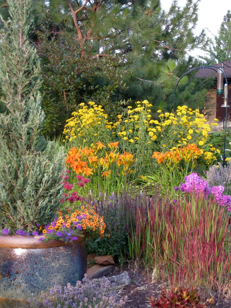 Everlasting Sun Edging by Barbara Safranek Landscape Design - Photo 6