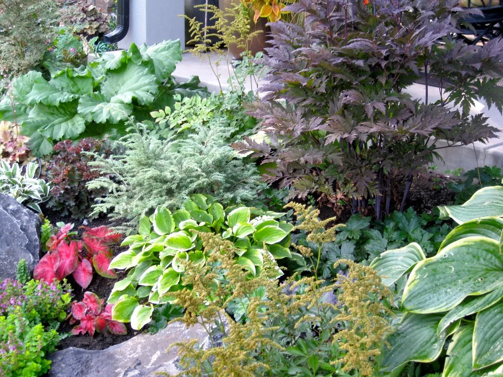 Crafted in the Shade by Barbara Safranek Landscape Design - Photo 6