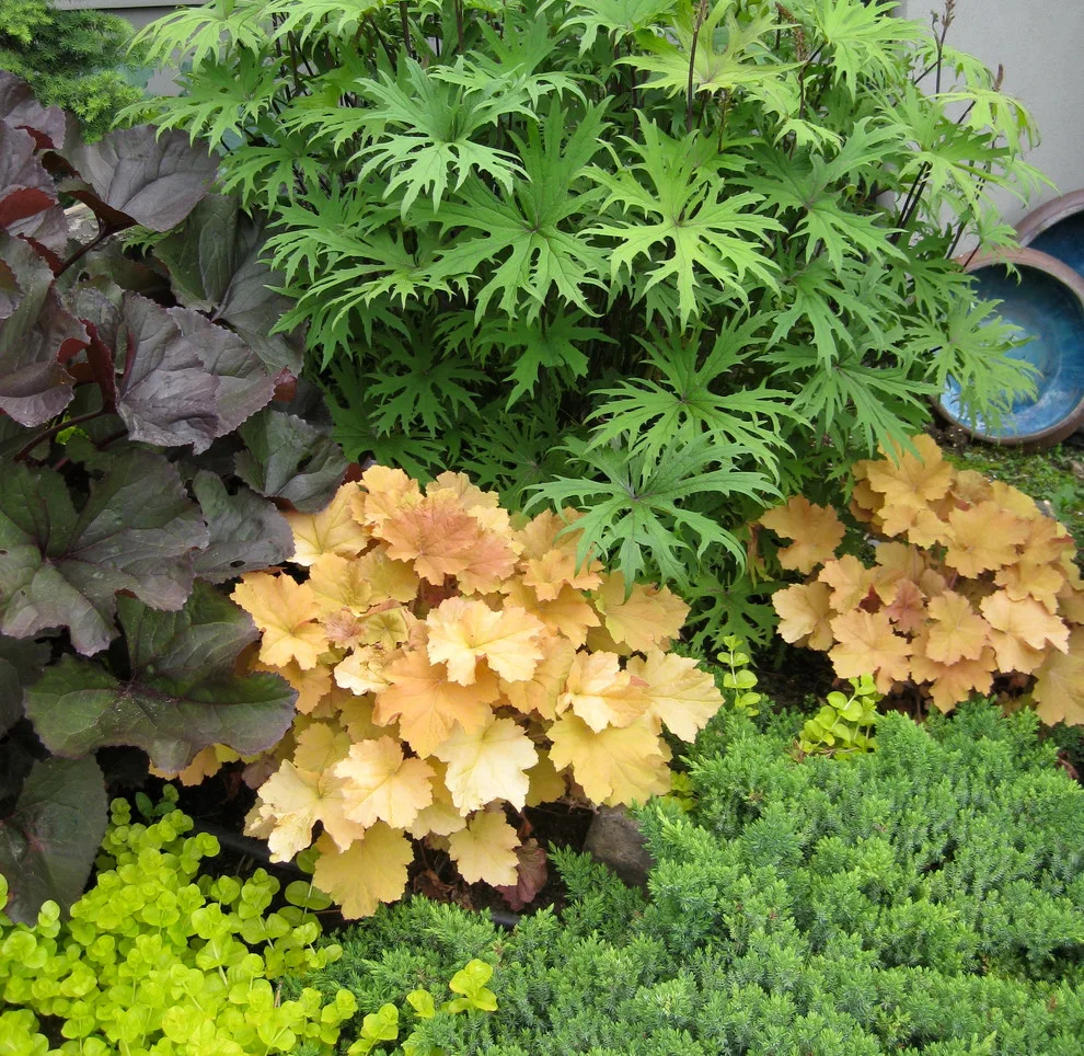 Crafted in the Shade by Barbara Safranek Landscape Design - Photo 3
