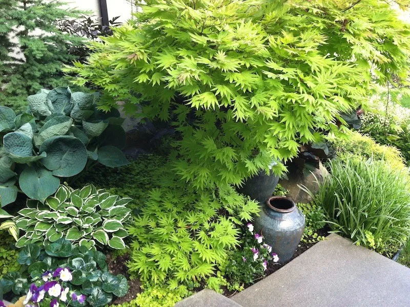 Crafted in the Shade by Barbara Safranek Landscape Design - Photo 5
