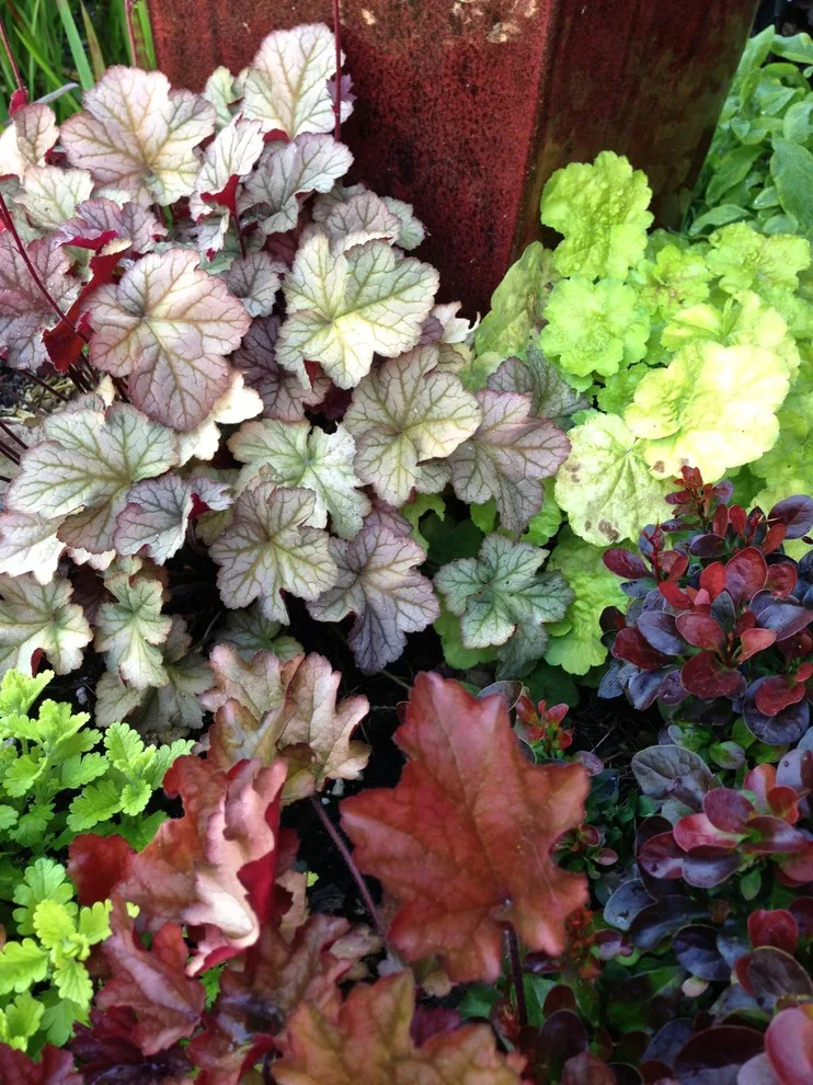 Barbara Safranek Landscape Design - Photo 5