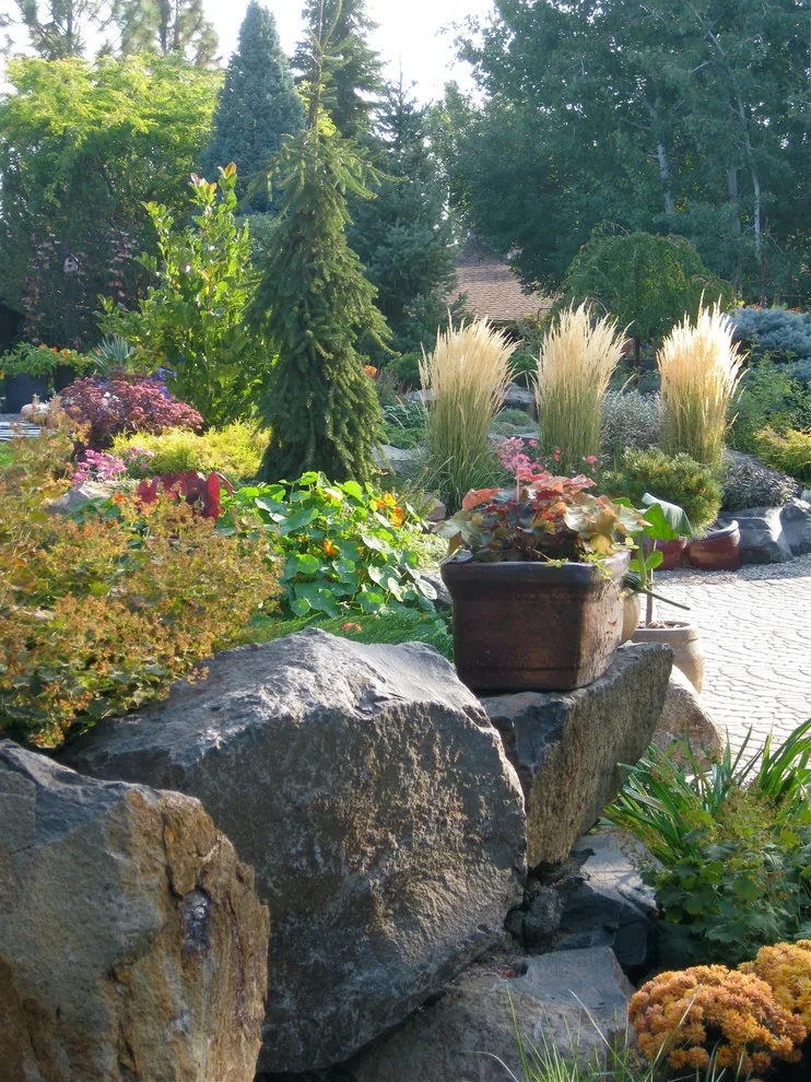 Garden Pots by Barbara Safranek Landscape Design - Photo 2