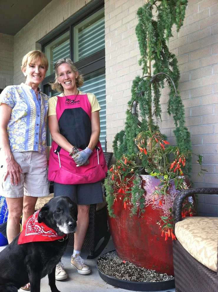 Garden Pots by Barbara Safranek Landscape Design - Photo 6