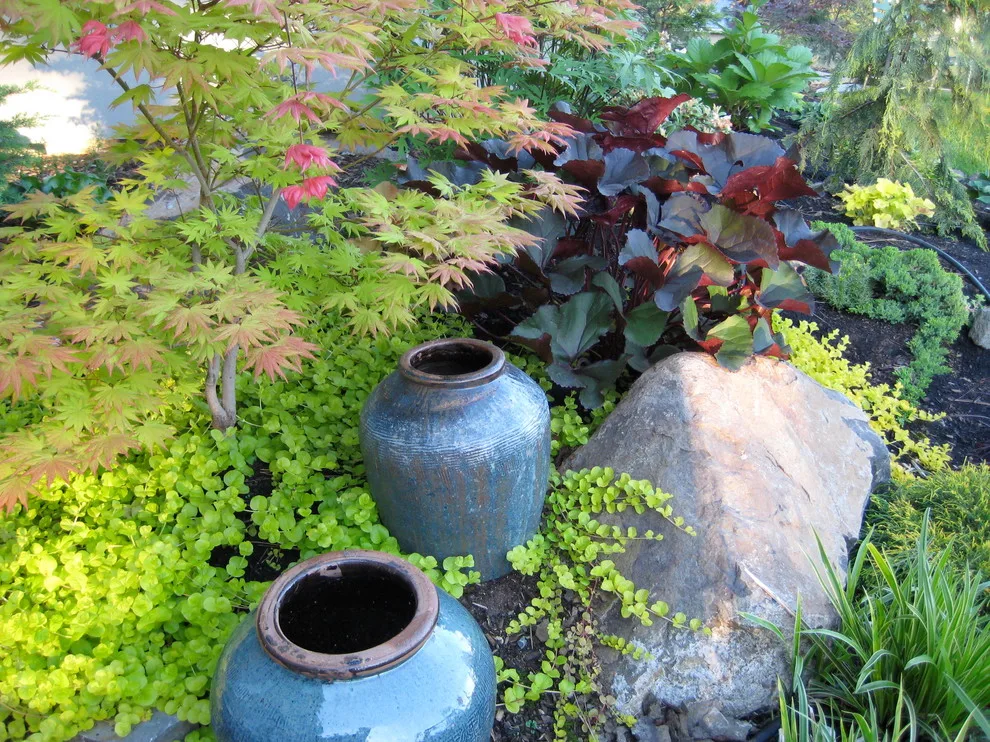 Garden Pots by Barbara Safranek Landscape Design - Photo 10
