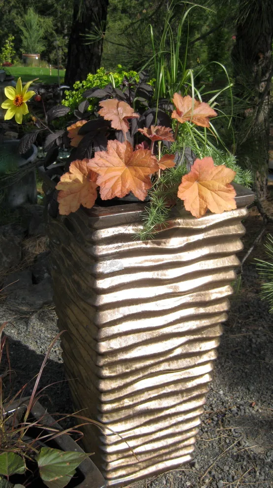 Garden Pots by Barbara Safranek Landscape Design - Photo 7