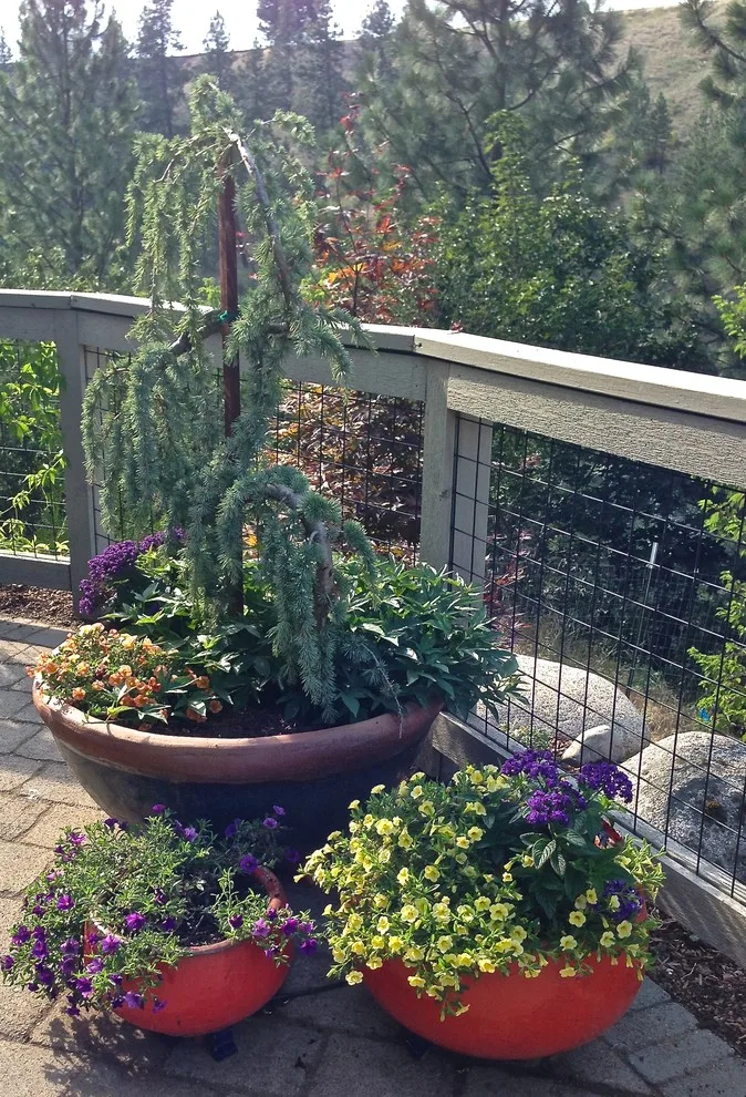 Garden Pots by Barbara Safranek Landscape Design - Photo 4