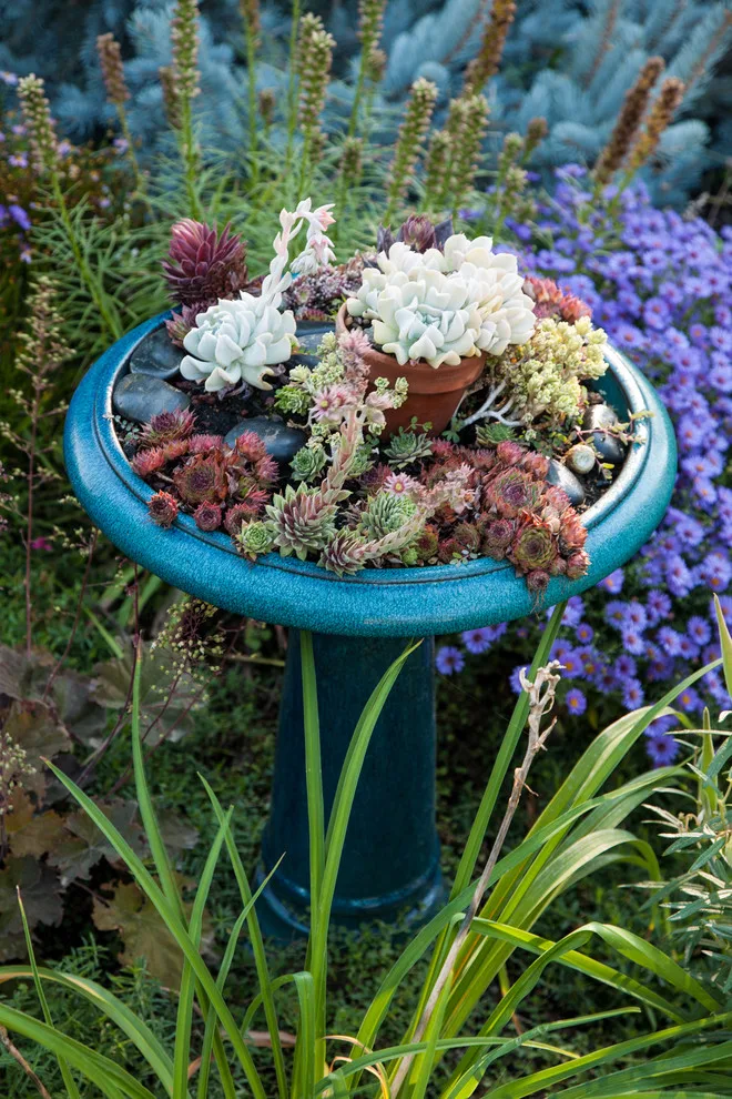 Garden Pots by Barbara Safranek Landscape Design - Photo 12