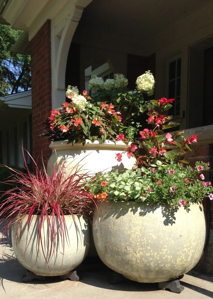 Garden Pots by Barbara Safranek Landscape Design - Photo 8