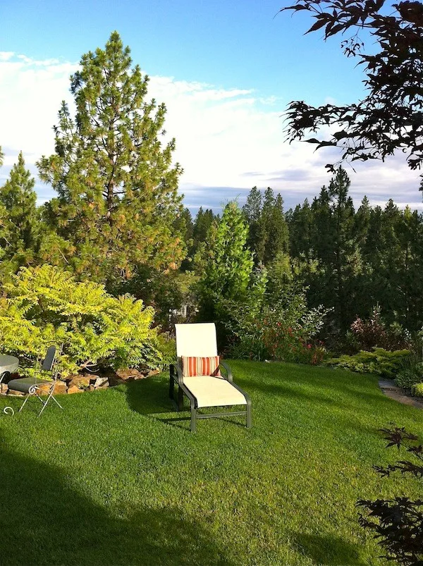 Outdoor Gatherings by Barbara Safranek Landscape Design - Photo 4