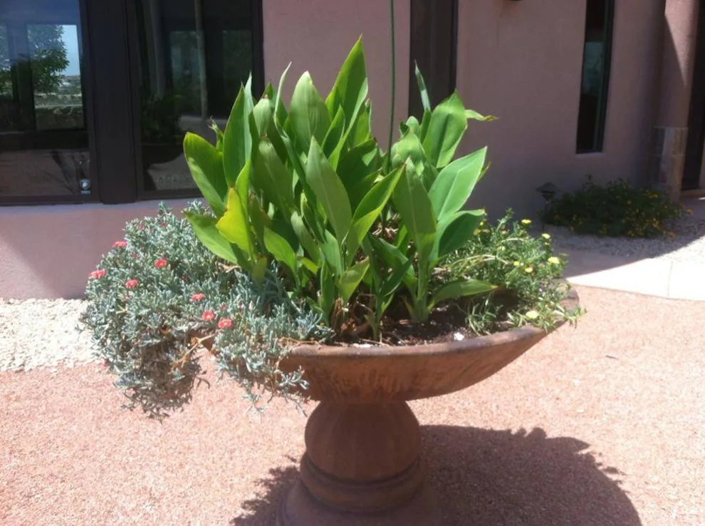 Beautiful Botanicals by Brainard's Greenscapes - Photo 5