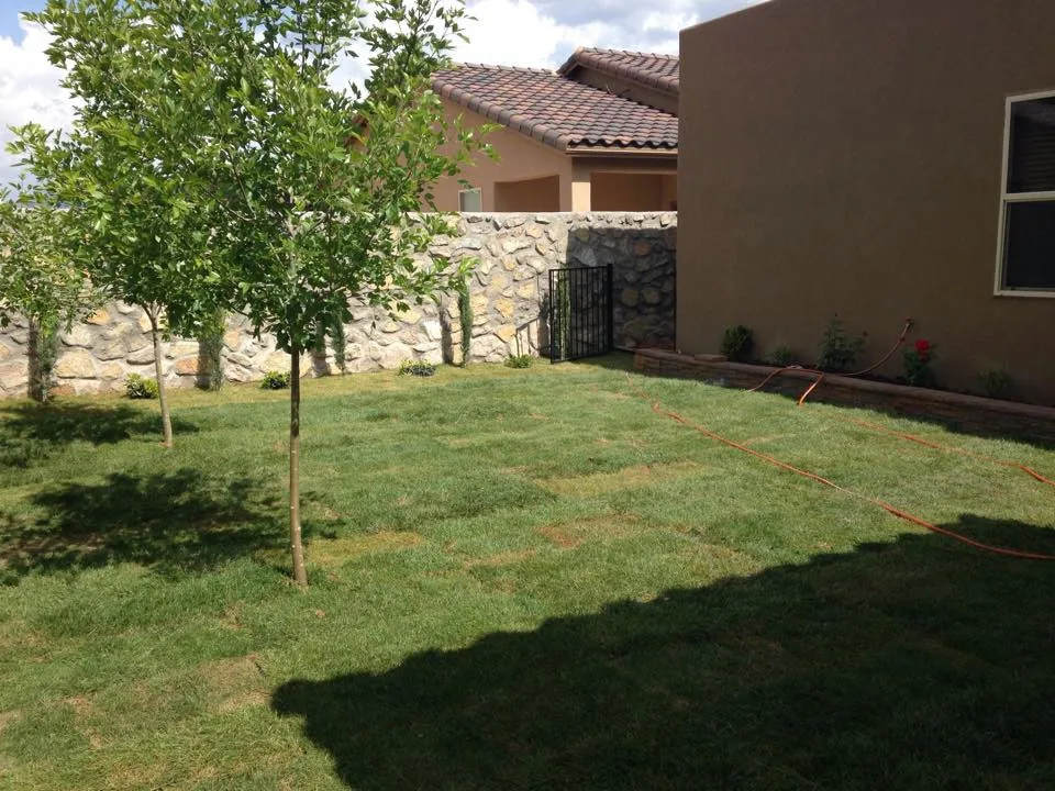 Brainard's Greenscapes - Photo 7