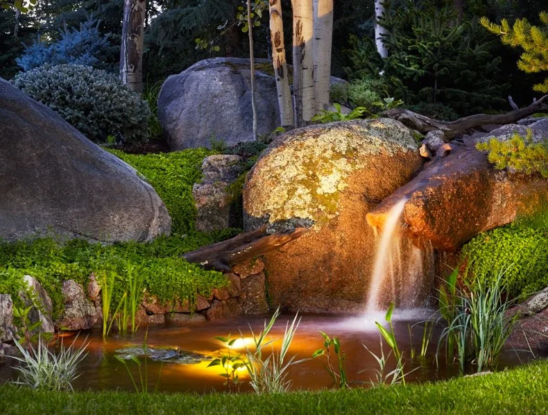 Escape Garden Design - Photo 7