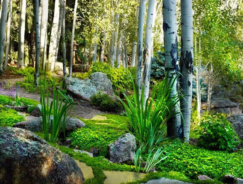 Enchanted Streams by Escape Garden Design - Photo 5