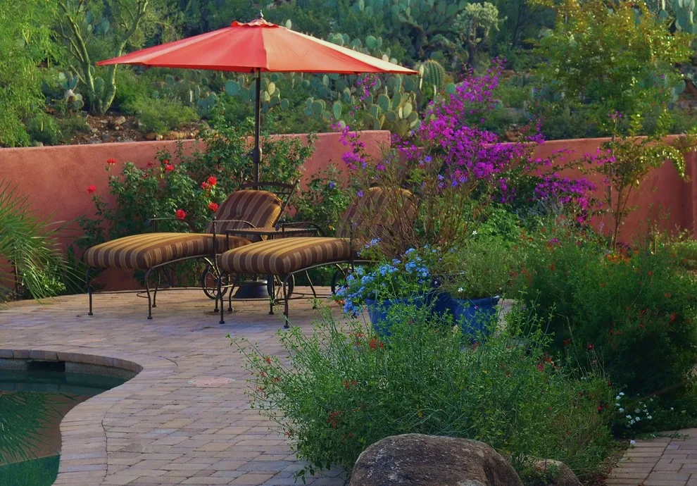 Oro Valley - Mediterranean Desert by Landscape Design West, LLC - Photo 2
