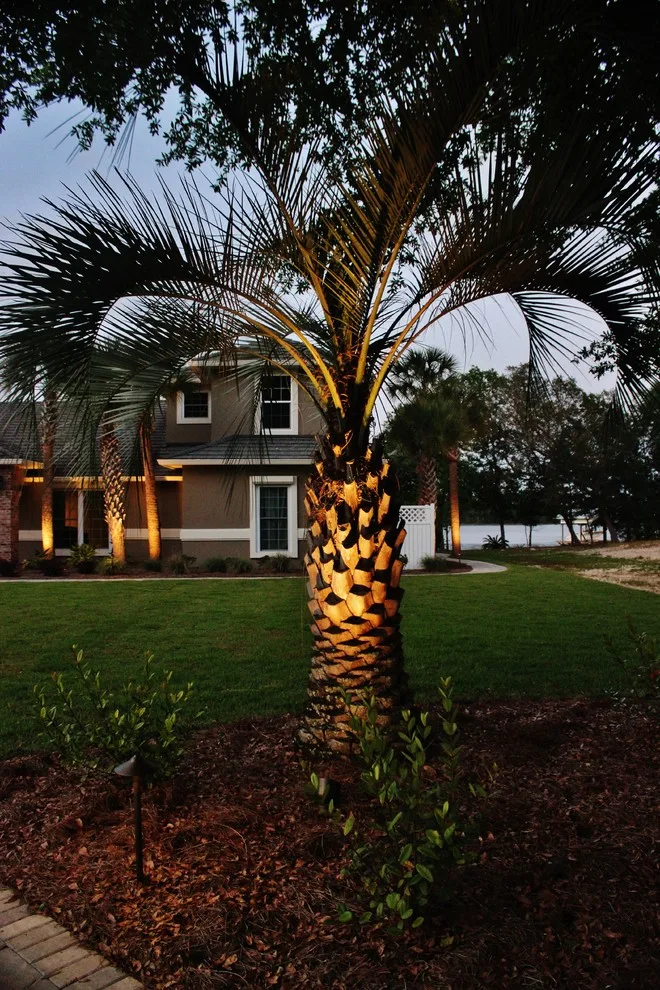 Nowak Project by The Wallace Company - Photo 11