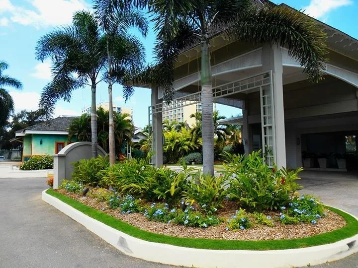 Caribbean Botanical Designs - Photo 6