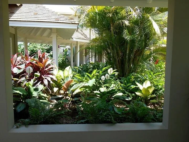 Sunset Oasis, Jamaica by Caribbean Botanical Designs - Photo 2