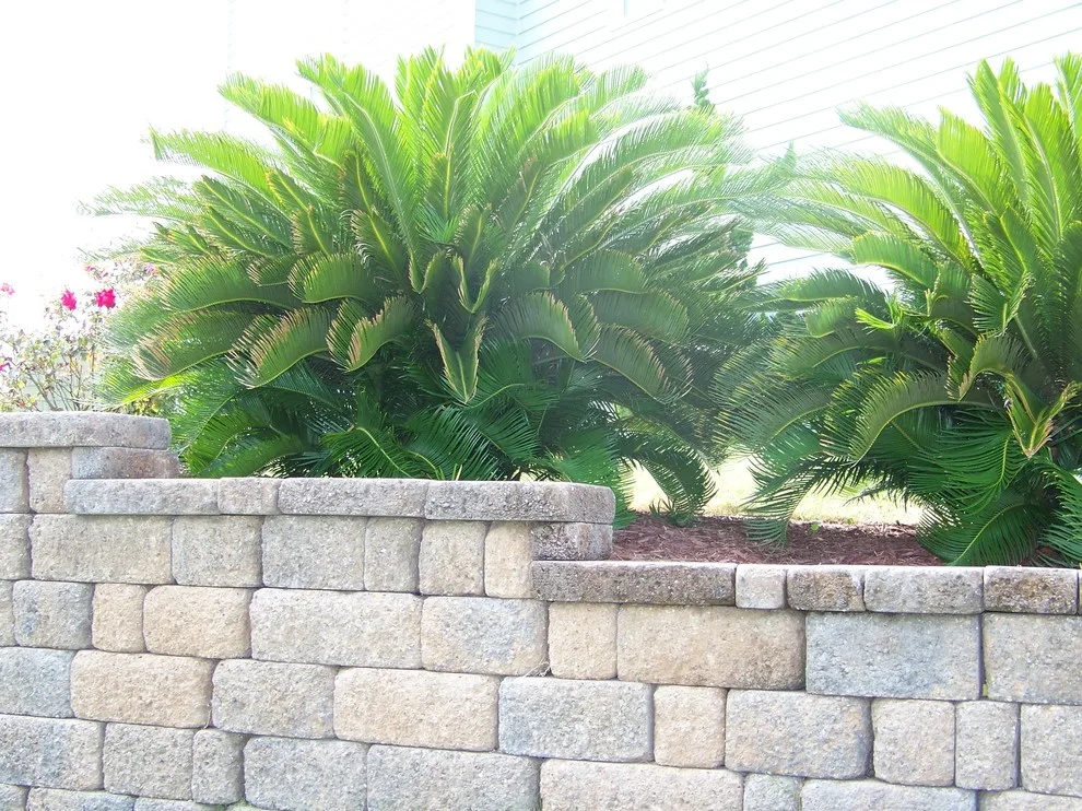 Emerald Isle - Coastal retaining wall, pathway, and driveway by Yardworks, Inc. - Photo 4