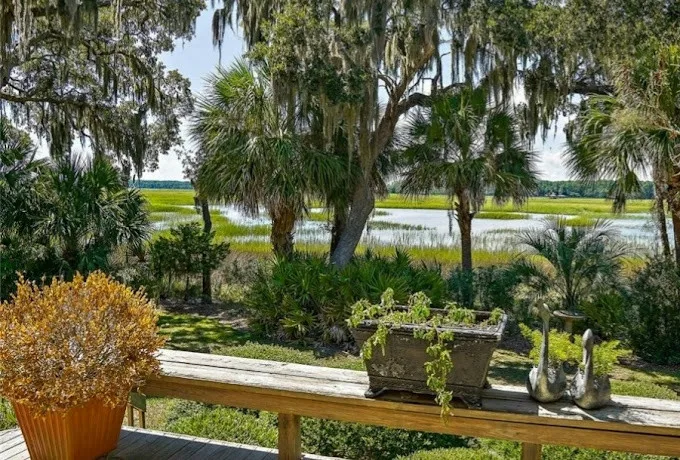 Lowcountry Vistas Native Landscape Design - Photo 3