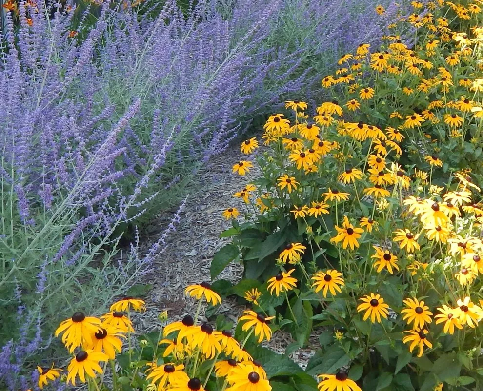 Our Garden Design by Stony Creek Landscapes - Photo 9