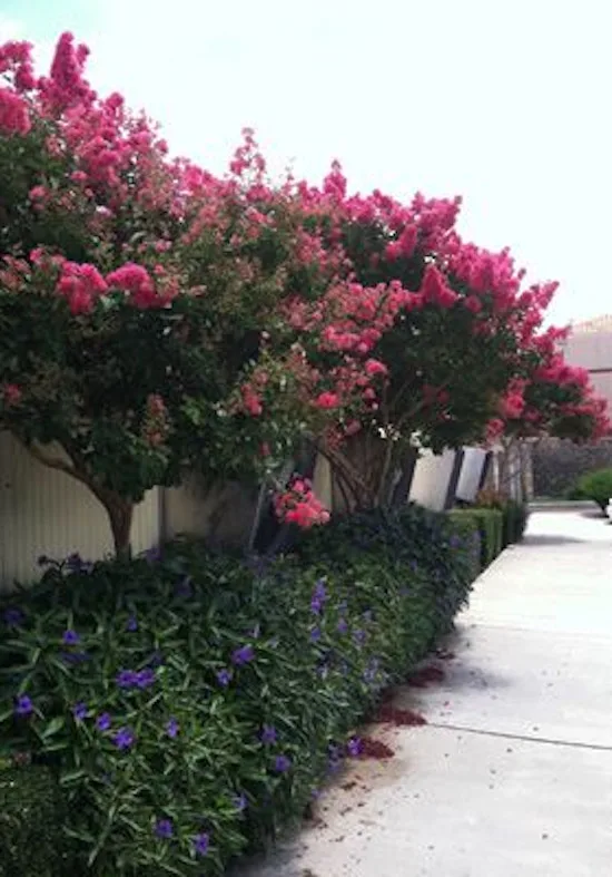 Color Your World LLC - Photo 2