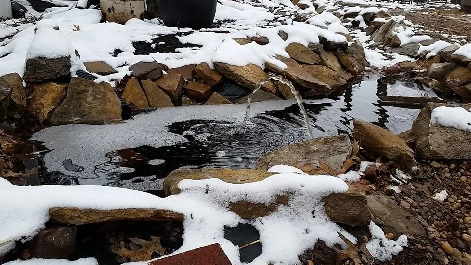 Platinum Outdoor Concepts - Photo 2