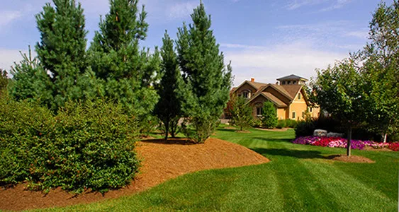 Halian & Associates Landscapes - Photo 4